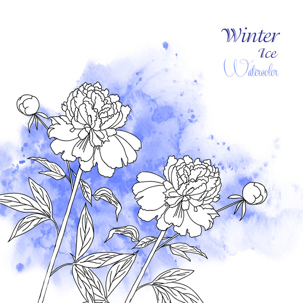 Background  with watercolors and flowers-02 - Vector, Image