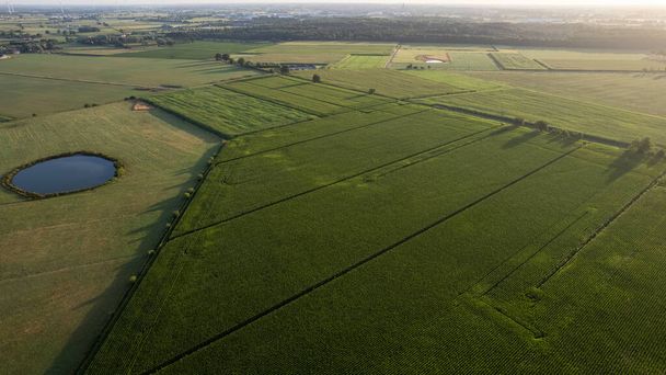 Rolnicze zdjęcia lotnicze dronów linii poziomych plantacji roślin uprawnych na obszarach wiejskich podczas wschodu lub zachodu słońca. Wysokiej jakości zdjęcie - Zdjęcie, obraz