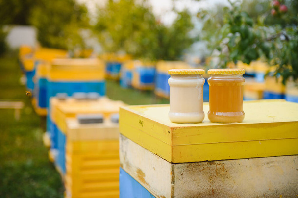 Honey jar and beehives on meadow in springtime. Apiculture and honey production. Healthy and organic natural food. Sweet food - Fotó, kép