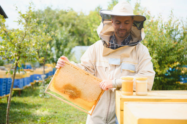 Beekeeper working collect honey. Beekeeping concept - Foto, Imagem