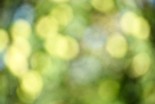 Green bokeh out of focus background from green apple leaves and yellow apples - Fotografie, Obrázek
