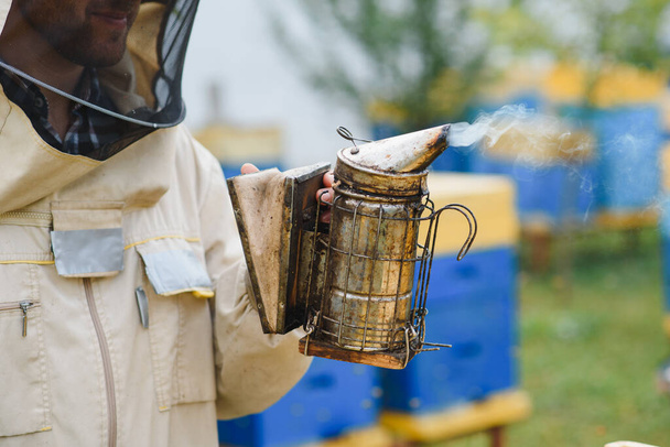 Beekeeper is working with bees and beehives on the apiary. Beekeeping concept. - Foto, Bild