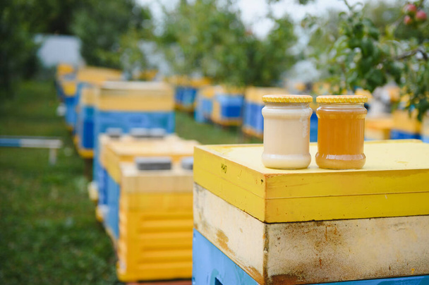 jar of fresh honey in a glass jar. Beekeeping concept. Top view. Copy space - Fotó, kép