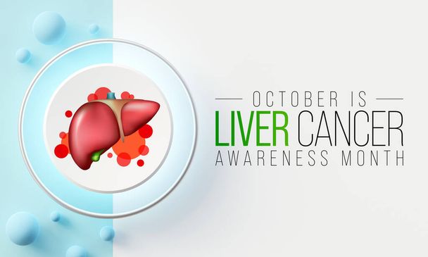 Liver Cancer awareness month is observed every year in October, cancer can sometimes start in liver or spread from another organ. 3D Rendering - 写真・画像