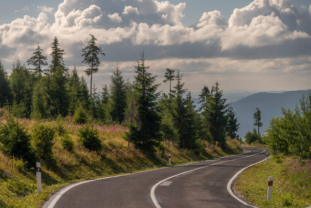 Road in Vysoke Tatry mountains in summer hot sunny fresh day - 写真・画像
