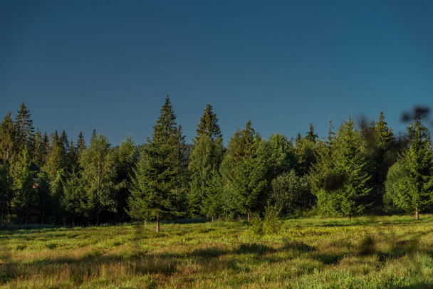 Summer Slovakia morning with blue sky and green fresh forest - Photo, Image