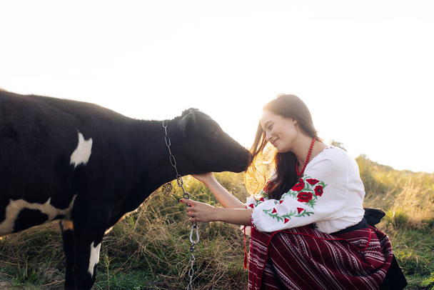 Young Ukrainian woman sits, smiles and holds calf dressed in traditional national embroidered shirt and skirt on pasture. Ethnic ukrainian national clothes style, embroidered shirt. Rural scene. - 写真・画像