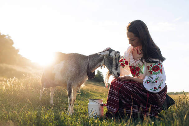 Young Ukrainian woman waters the goat from water can in traditional national embroidered shirt and skirt on pasture at sunset. Ethnic ukrainian national clothes style, embroidered shirt. Rural scene. - Valokuva, kuva