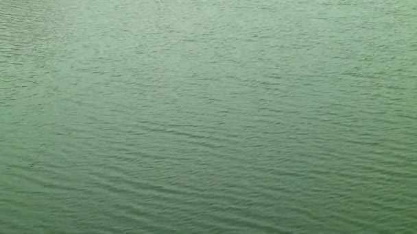 Кадри смарагдового зеленого озера води вириваються на вітрі
 - Кадри, відео