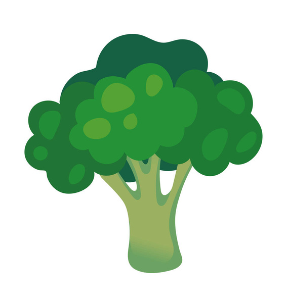 fresh broccoli vegetable icon isolated - Vektor, Bild