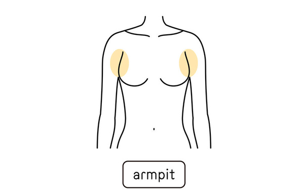 Hair removal illustration for women by part, armpit - Vetor, Imagem
