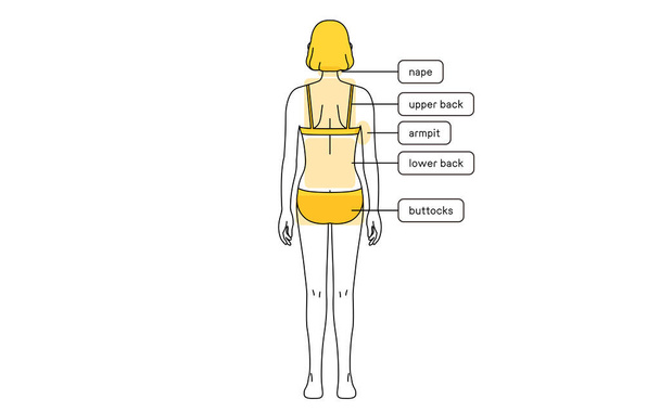 Female Hair Removal Illustration Full body from behind - Vector, Image
