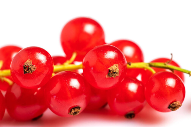 Juicy red currant. Fresh red currant isolated on white background. close up. - Foto, Imagem
