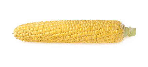 Tasty fresh corn cob isolated on white, top view - Foto, immagini