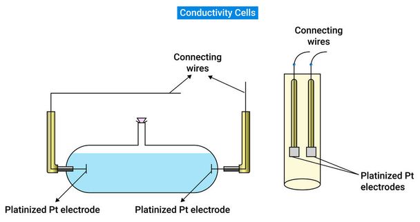 Two Different Type of Conductivity Cells - Vektör, Görsel