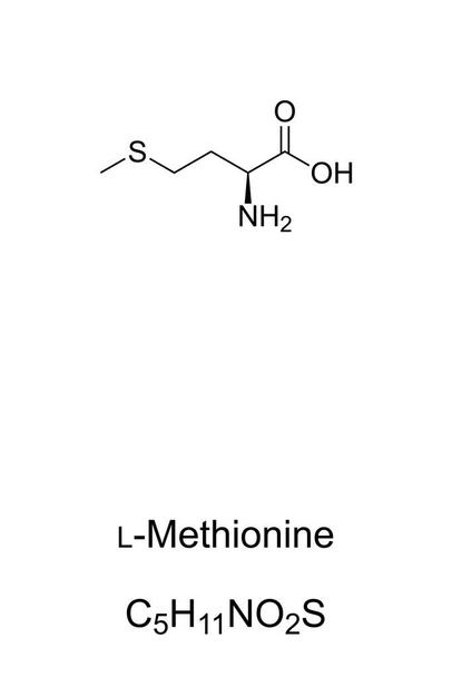 L-Methionine, chemical formula and skeletal structure. Essential amino acid in humans. Plays a critical role in metabolism and health. Important part of angiogenesis, the growth of new blood vessels. - Vektor, kép