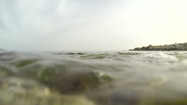 Waves coming in and completely covering camera with view of underwater seaweed. - Video