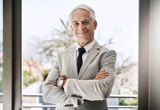 Making success happen. Portrait of a confident mature businessman wearing a business suit while standing with his arms folded at home during the day - Foto, afbeelding