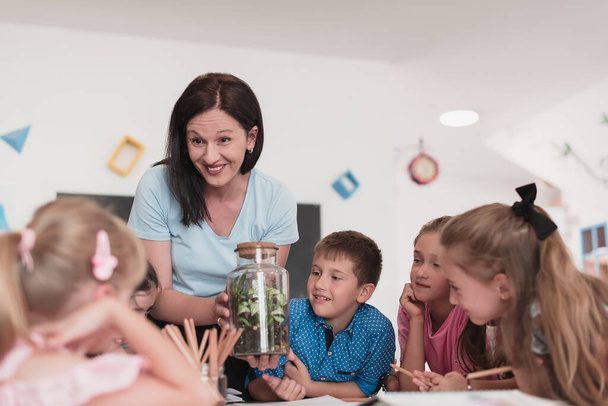Female Teacher with kids in biology class at elementary school conducting biology or botanical scientific experiment about sustainable Growing plants. Learning about plants in a glass jar. High - Photo, Image