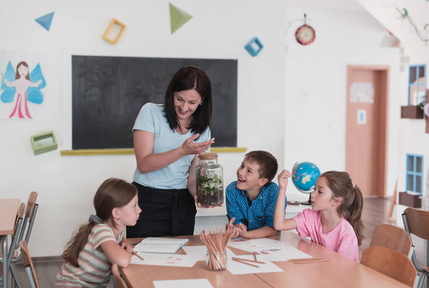 Female Teacher with kids in biology class at elementary school conducting biology or botanical scientific experiment about sustainable Growing plants. Learning about plants in a glass jar. High - Fotoğraf, Görsel