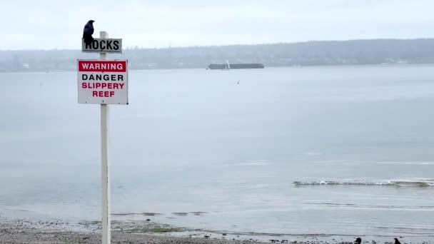 Προβολή προειδοποιητικού σήματος Κίνδυνος, ολισθηρός ύφαλος στη δεύτερη παραλία στο Stanley Park στις βροχερές ημέρες - Πλάνα, βίντεο