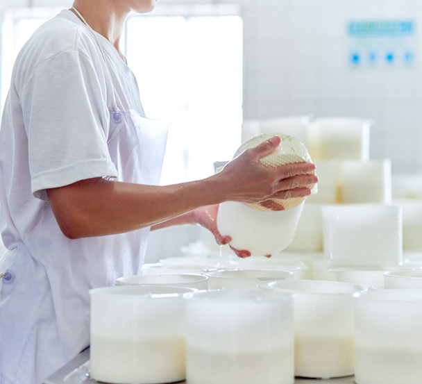 Getting them ready for packaging. an unrecognizable woman working in a cheese factory - Foto, Imagem