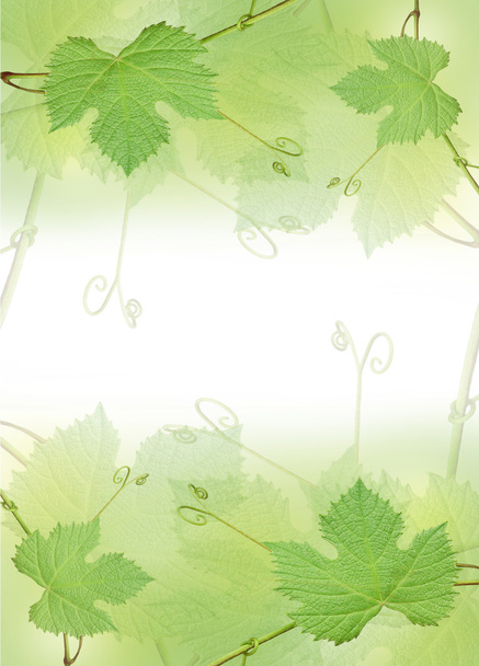 Граница зеленого виноградного листа
 - Фото, изображение