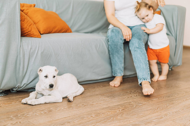 Алабай щенок лежит на полу перед девушкой с ребенком. - Фото, изображение
