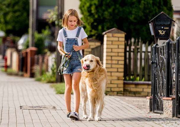 Preteen girl with golden retriever dog walking at street. Pretty child kid with purebred dog labrador in park outdoors. - Фото, изображение