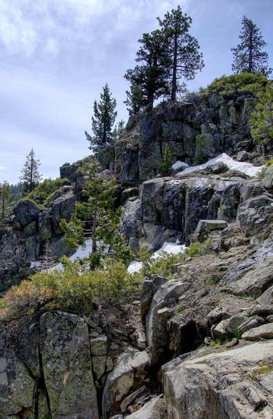 Вертикальный снимок скалистой скалы, покрытой соснами на озере Тахо - Фото, изображение