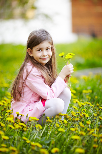 girl sitting in field of flowers - Photo, image