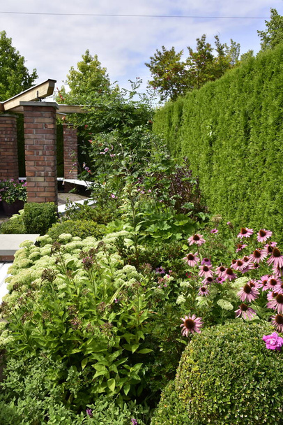 Шоу-сад, английский сад с цветущими летними цветами и зелеными растениями, окруженный красной стеной из бриков. - Фото, изображение