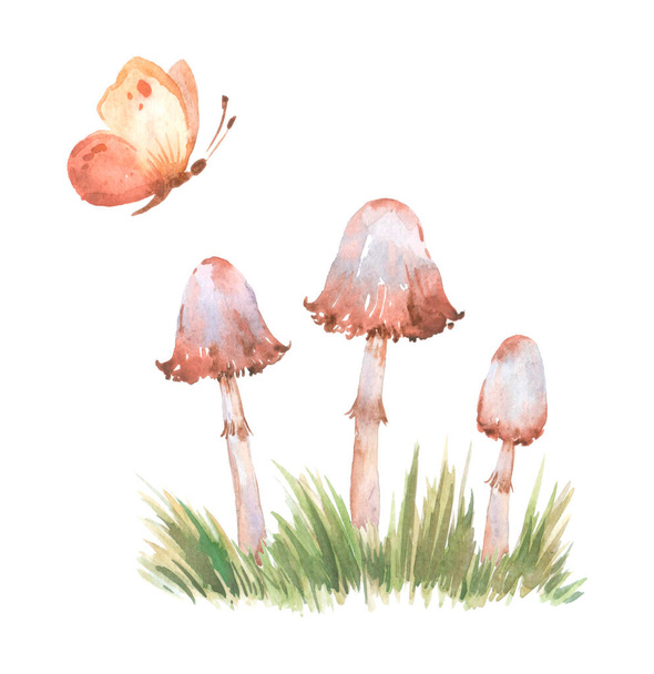 Watercolor set of forest elements: watercolor mushrooms, grass, butterfly, clip art - 写真・画像