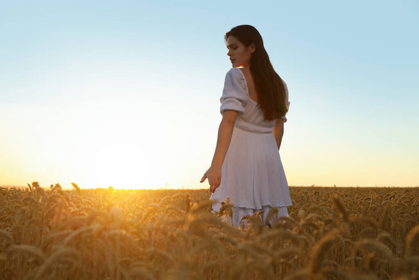 Beautiful young woman in ripe wheat field on sunny day, space for text - Фото, изображение