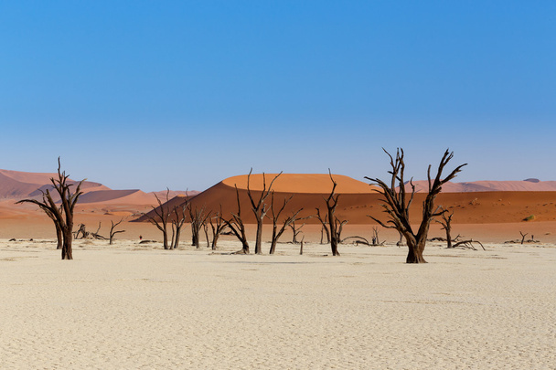 Sossusvlei bela paisagem do vale da morte
 - Foto, Imagem