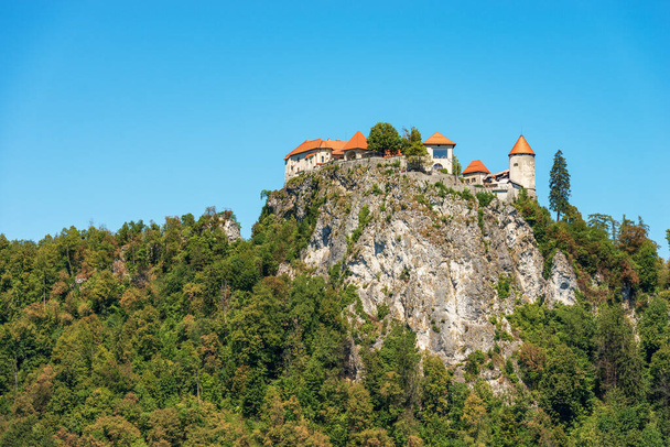 Medieval Bled Castle (Blejski grad), XI century, on the coast of Lake Bled on a sunny summer day. Bled town, Gorenjska, Triglav National Park, Slovenia, central Europe. - Foto, Imagen