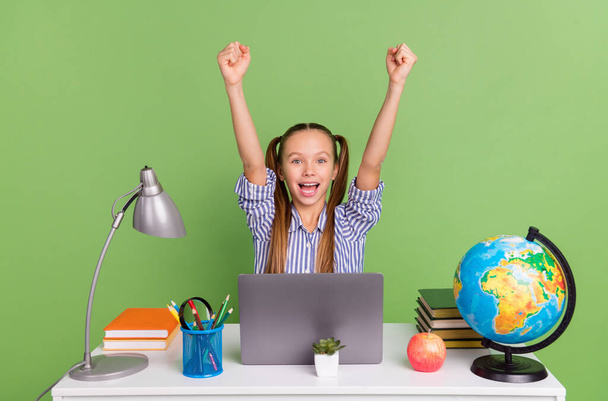 Photo of sweet excited little schoolkid wear shirt ponytails sitting desktop chatting gadget rising fists isolated green color background. - Foto, afbeelding