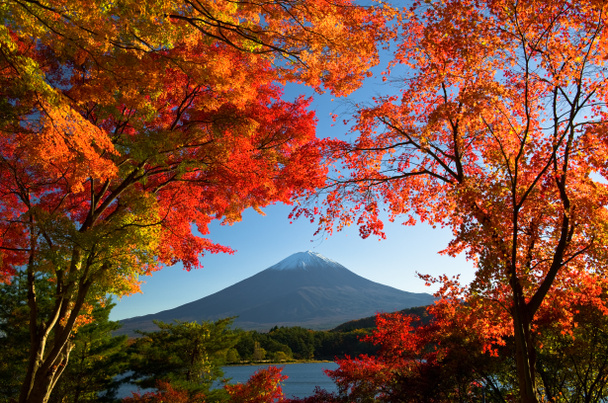 Fuji-vuori
 - Valokuva, kuva