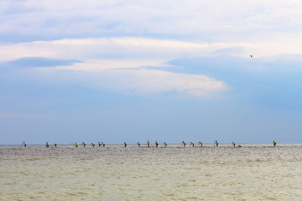 Group of people compete in rowing on stand up paddle board (SUP) on sea. View from the back - Photo, image