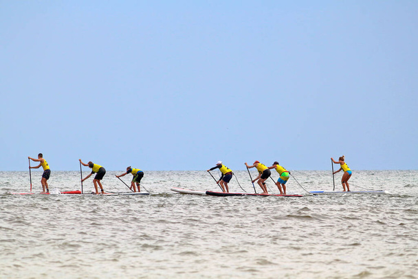 Group of people compete in rowing on stand up paddle board (SUP) on sea. View from the back - Photo, Image