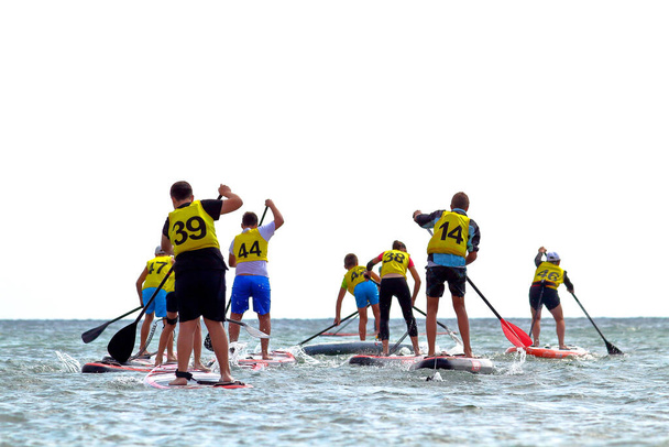 Group of people compete in rowing on stand up paddle board (SUP) on sea. View from the back - Fotografie, Obrázek