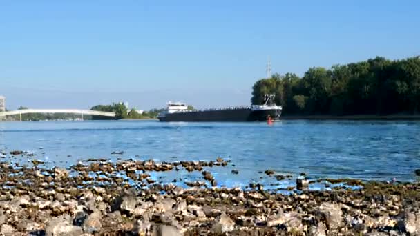 Rhine River at Wiesbaden-Biebrich, Germany - Visible rocks and sandbars due to extraordinary low water level after a long period of drought in 2022. - 映像、動画