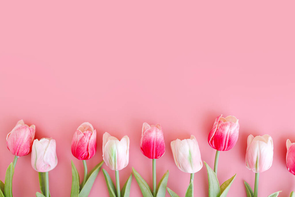 Bouquet of pink tulips flowers on pastel pink background. - Fotó, kép