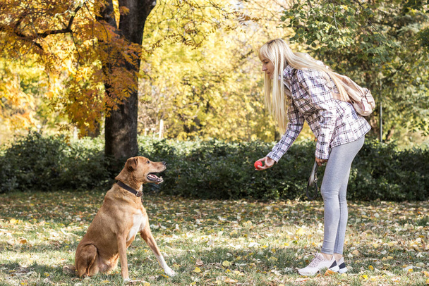 Счастливая взрослая женщина наслаждается временем в парке со своей собакой - Фото, изображение