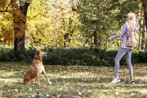 Happy young adult woman enjoys time at a park with her dog - Fotoğraf, Görsel