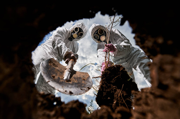 Post apocalypse - people in gas masks using shovel for reforesting soil with seedling after radioactive catastrophe. Volunteers in overalls planting tree at infected area. View from earth pit. - 写真・画像