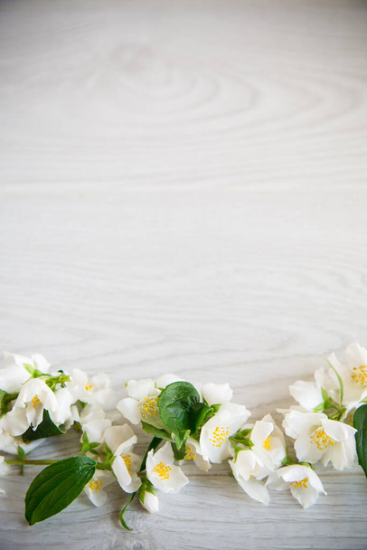 Wooden background with blooming beautiful white jasmine and empty space - Fotografie, Obrázek