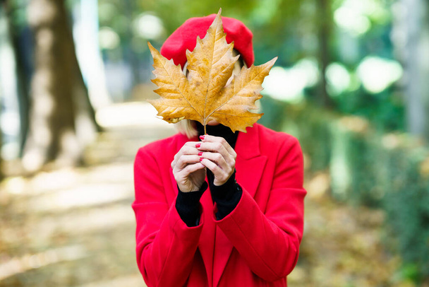 Unrecognizable female in colorful coat covering face with withered brown maple leaf while standing in autumn park on blurred background - Foto, Imagen