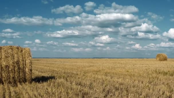 Haystacks σε ένα κίτρινο πεδίο με μπλε ουρανό. Στο πάνω μέρος. Η κάμερα κινείται προς τα πίσω. 4K - Πλάνα, βίντεο