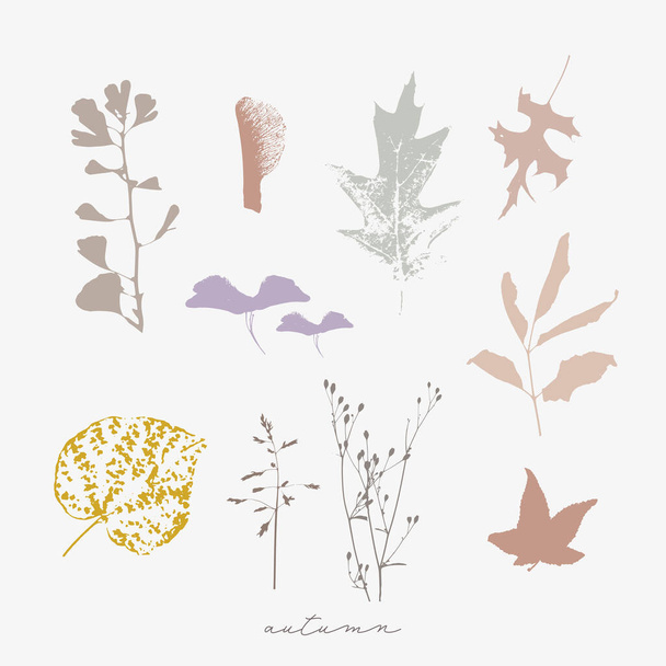 Autumn vector botanical illustration of florals, dried fall leaves and twigs. Natural textures  - Vector, afbeelding